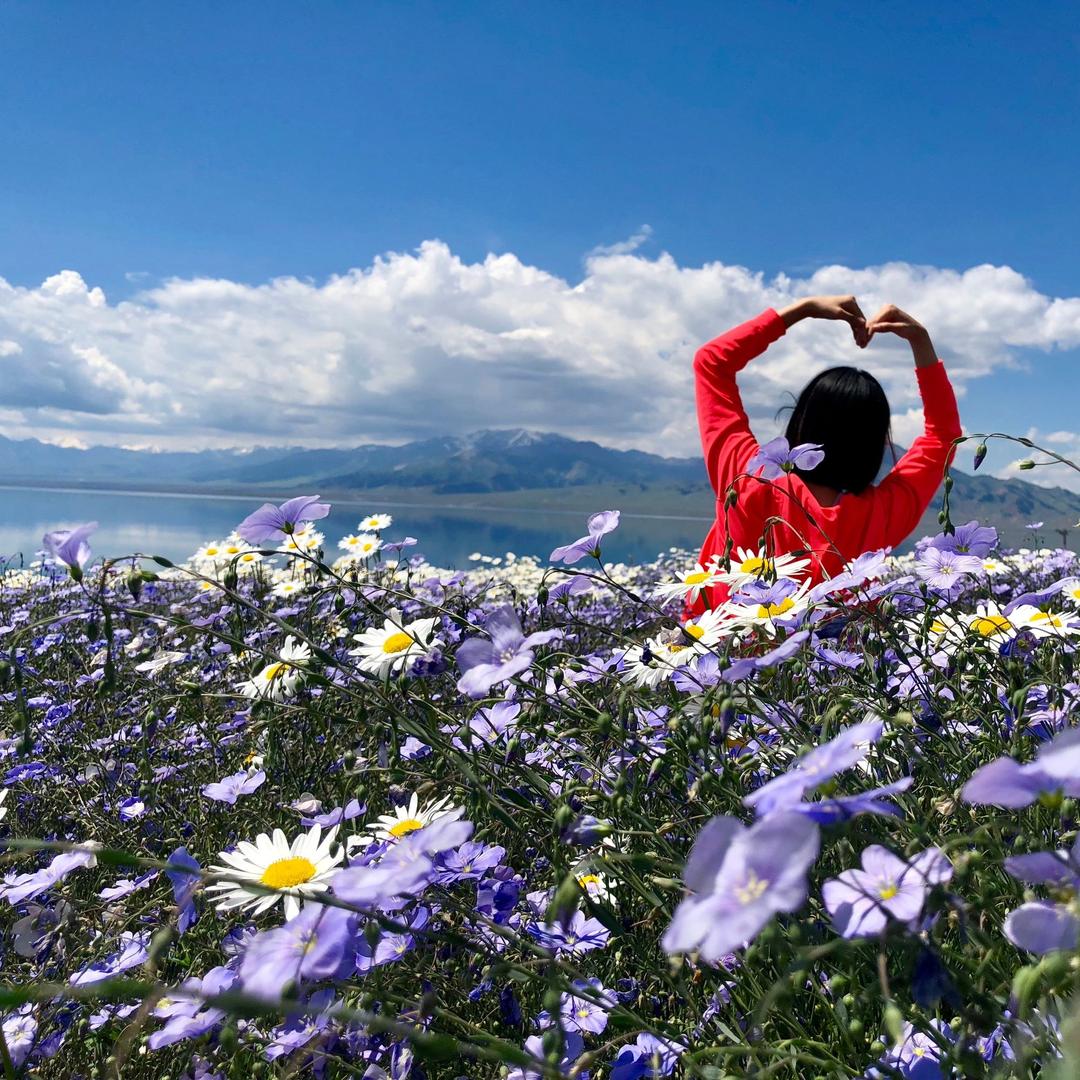 惠城区三栋镇蝉茶商行