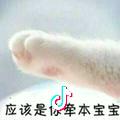 快乐男孩