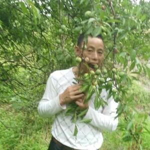 走江湖