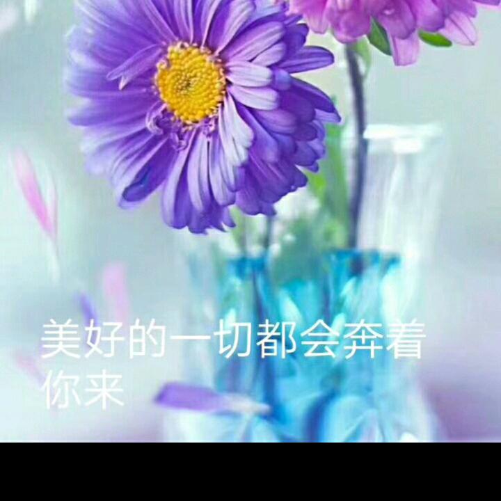 ?开心每一天