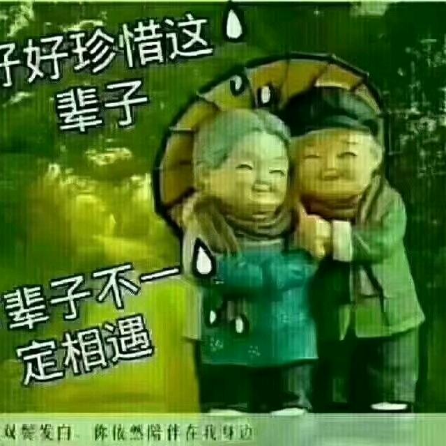独来独往。