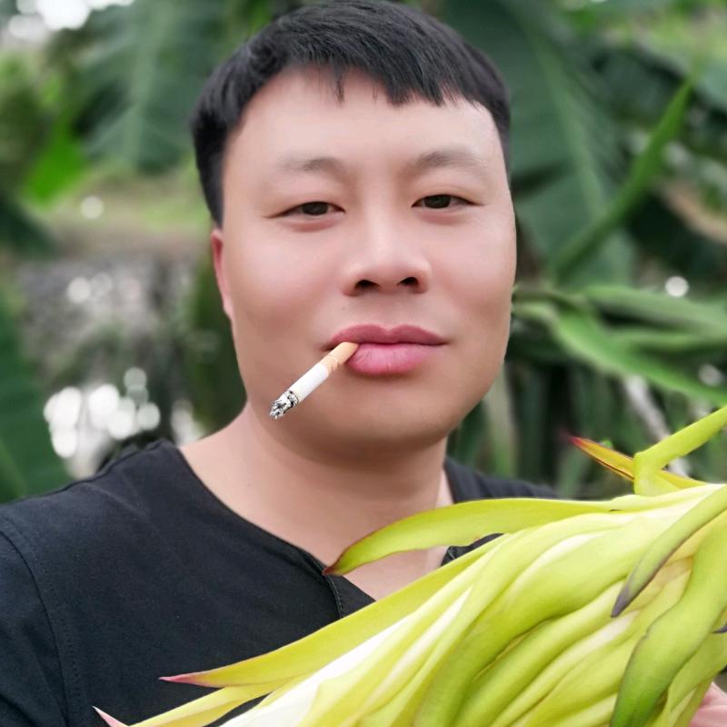 我在贵州等你