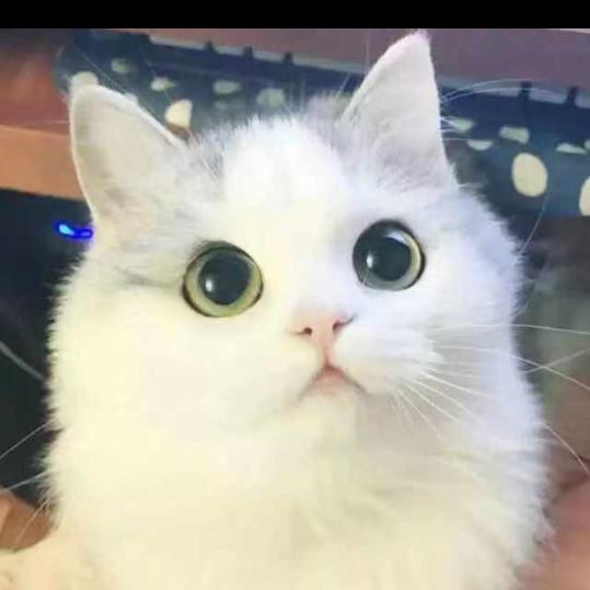 回眸醉倾城