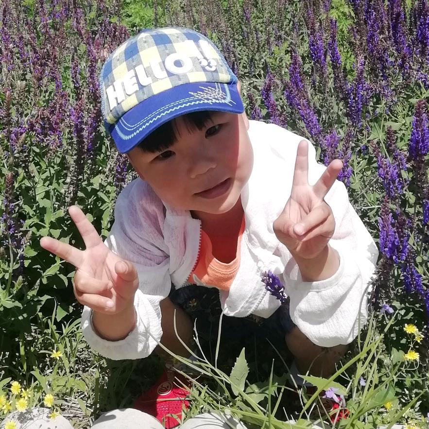 派多格白各庄店