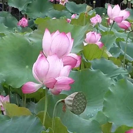 永恒