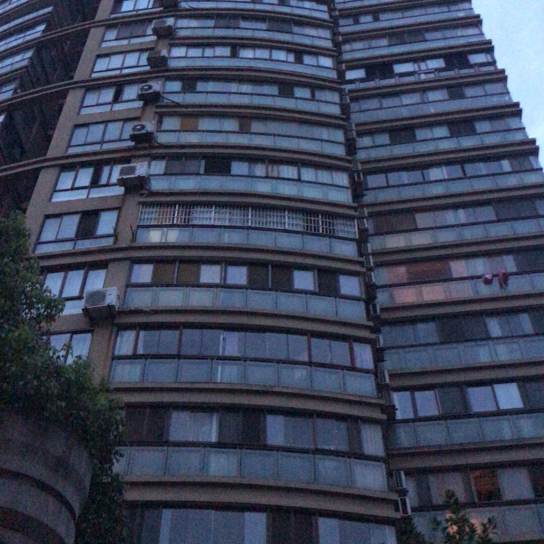 永常超细旦面料