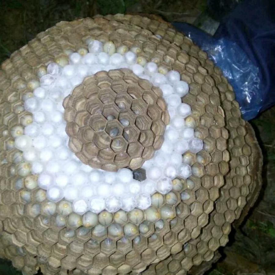 用户7427755665344黄声福