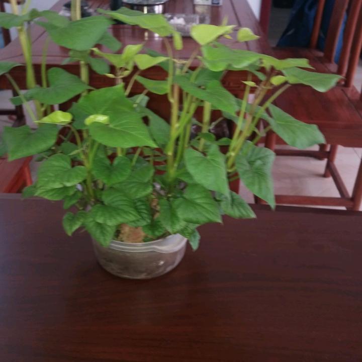 相信明天会更好