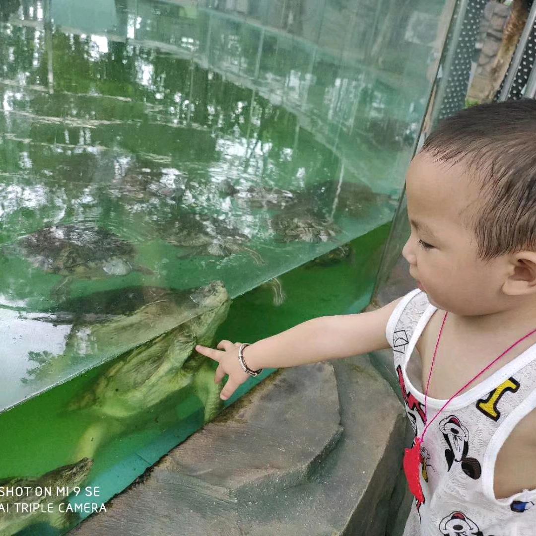 扈外强哥
