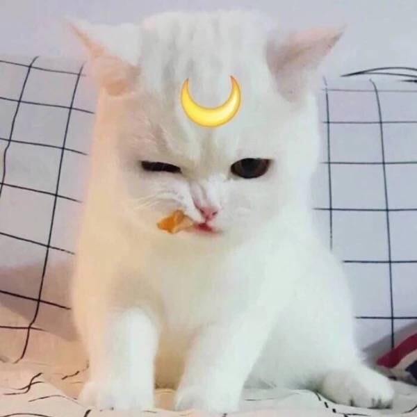 久橙