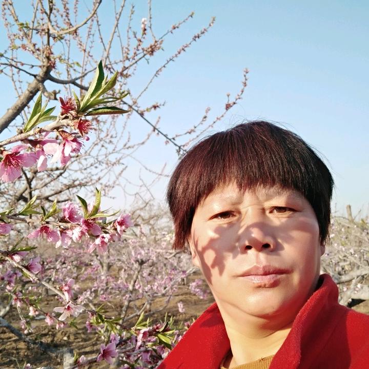 卢大姐