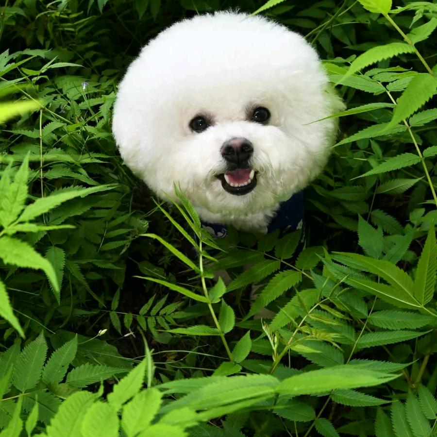 会哭😍的雨
