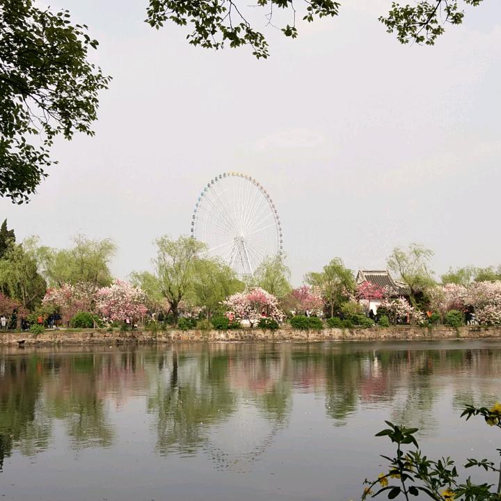 知足常乐