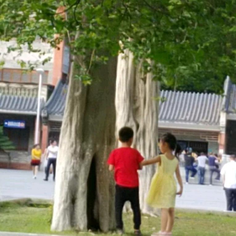 新升