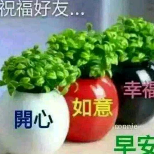 天街小雨