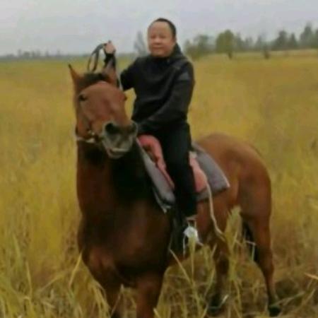 阿杜宠物用品甄选店