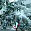 水中望月