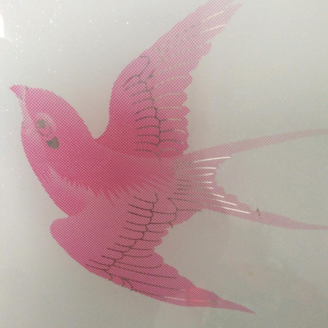 燕回巢（不定时直播）