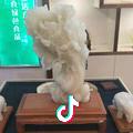 王生竹梦缘集成墙板厂