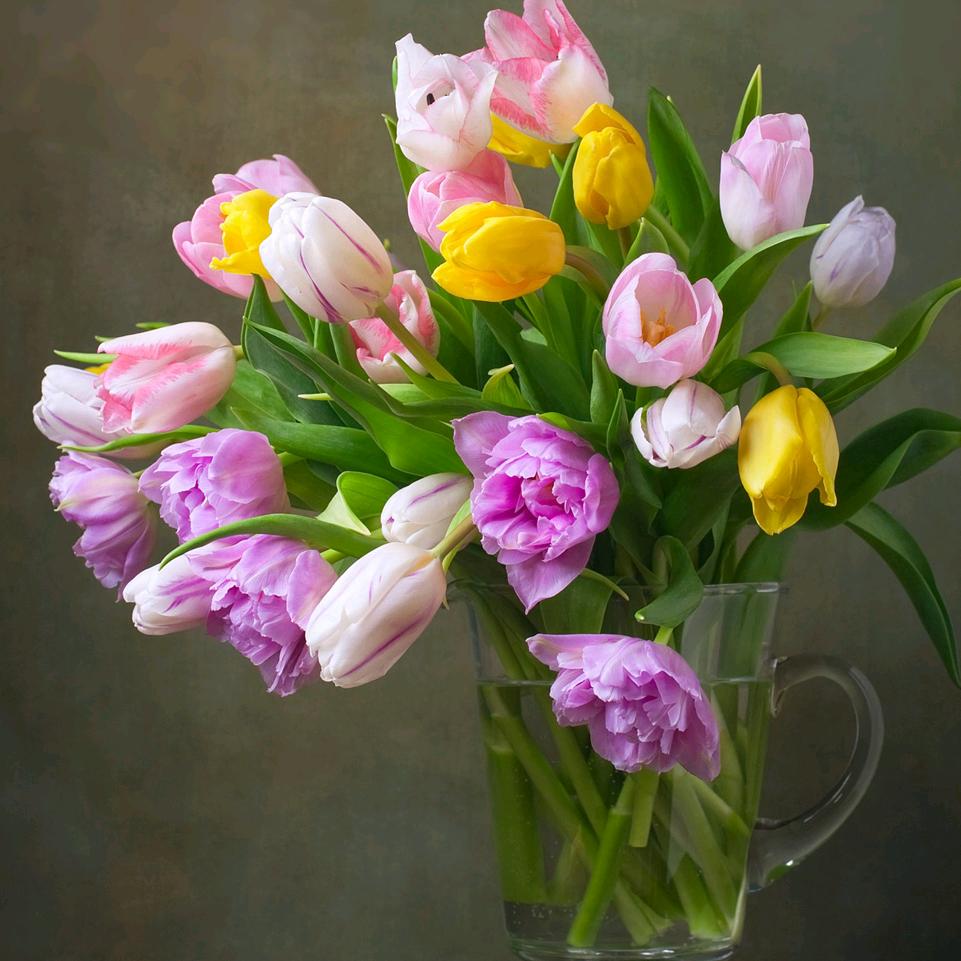 用户838468554岁岁平安