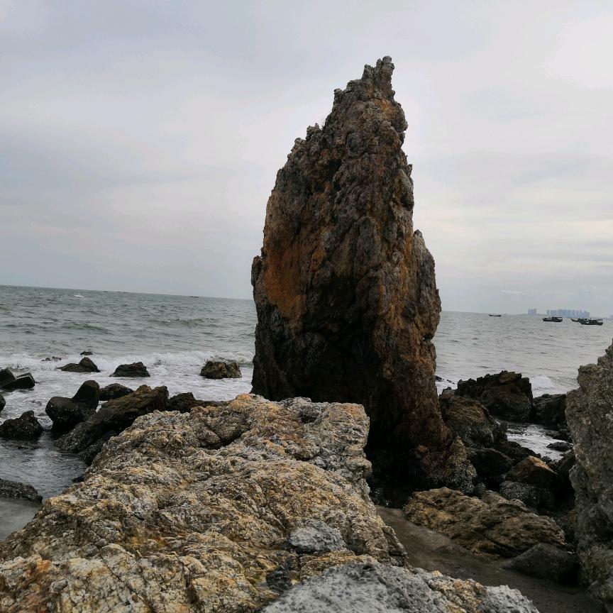 🐠老🐟許🐟🎣