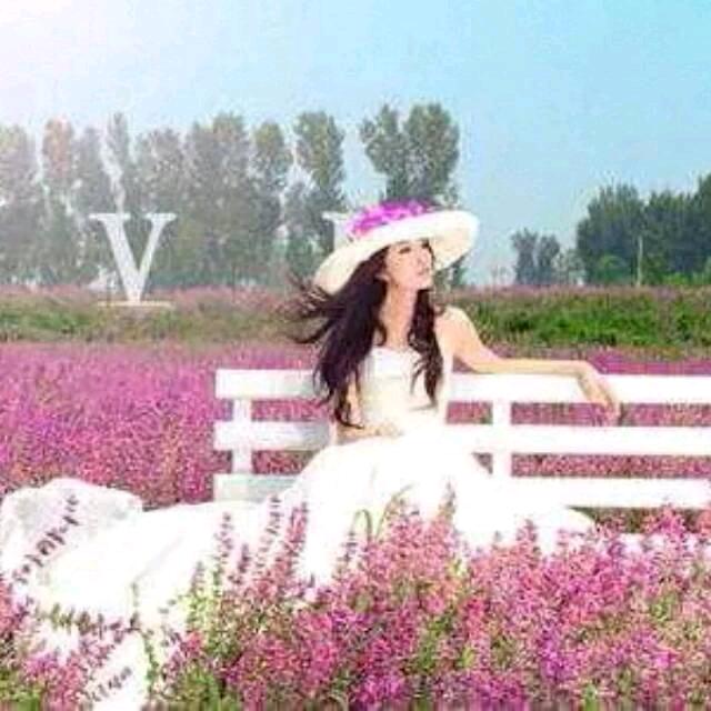 夏至晨曦