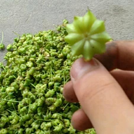 于蓝