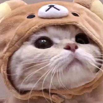 孤独的人