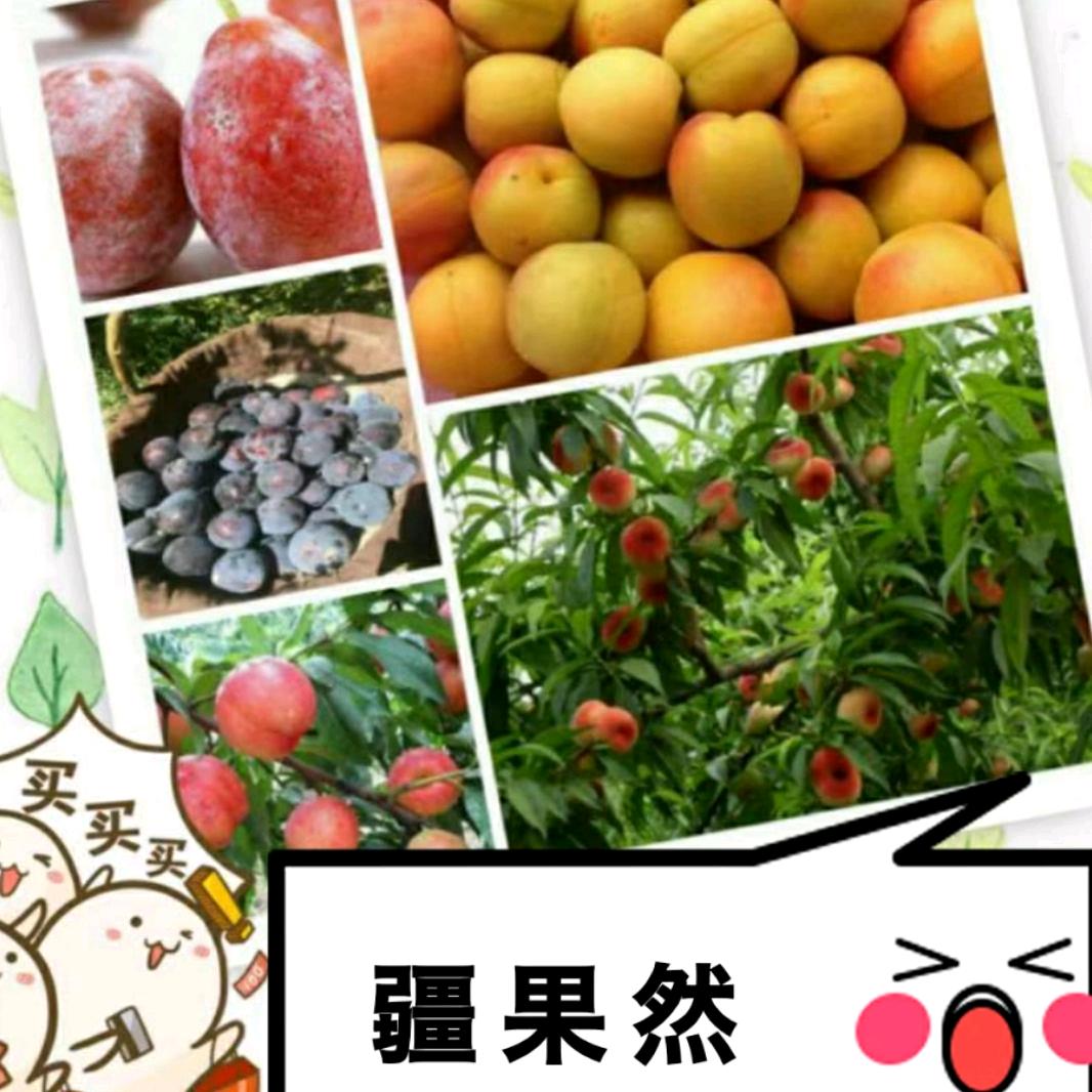 肖方蓉