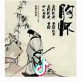 动了感情你就输