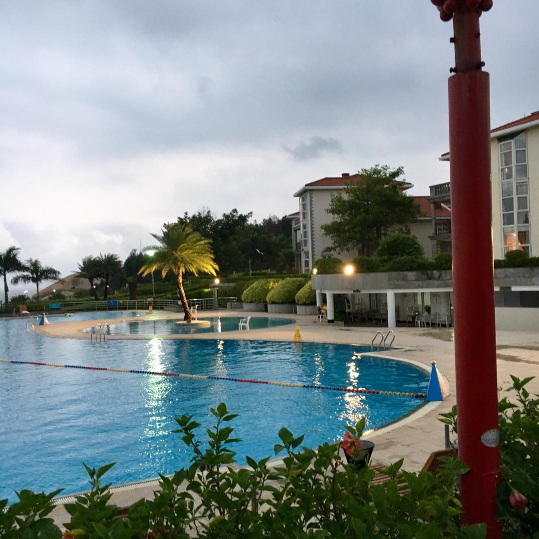 ૮₍ 向日葵🌻₎ა