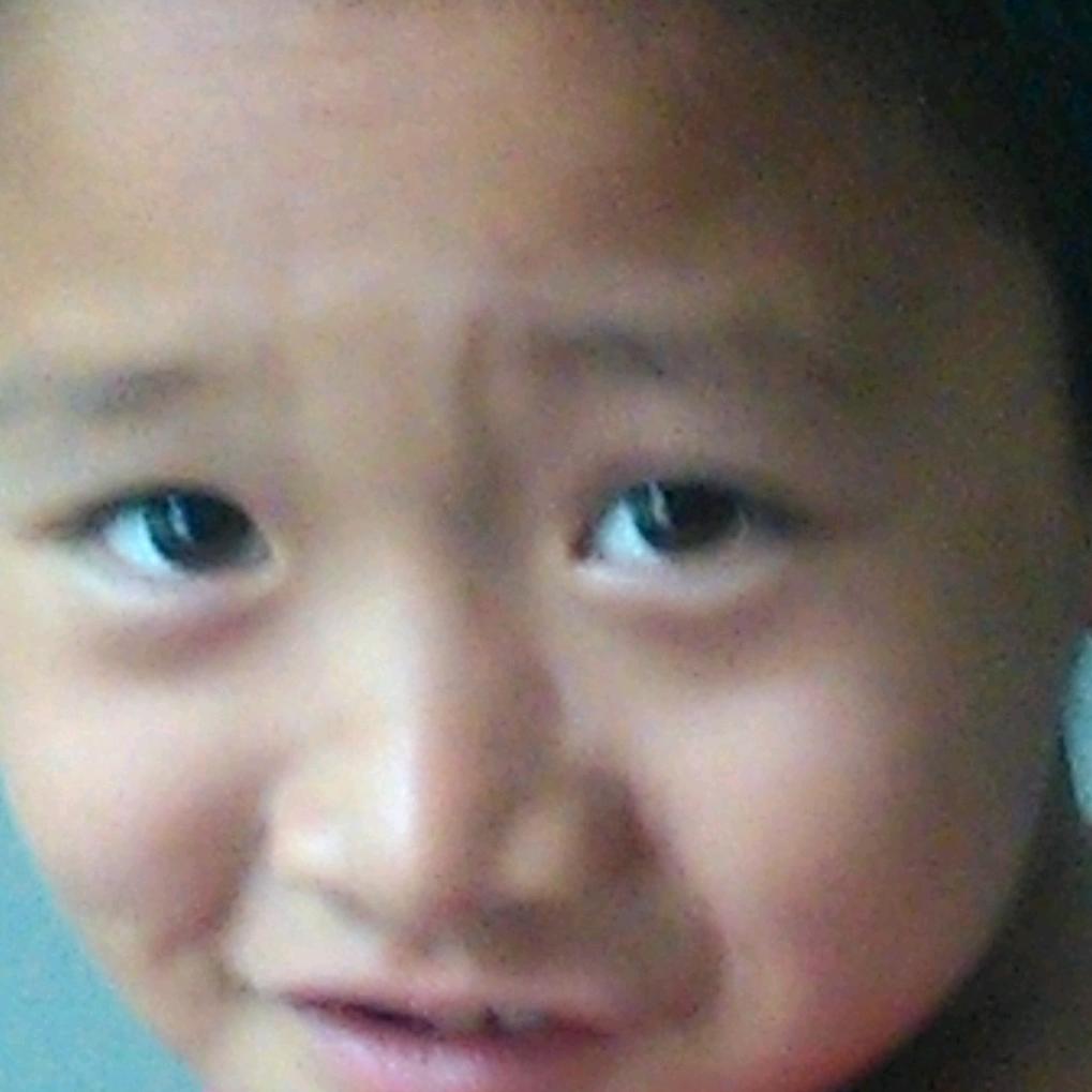 母术芳