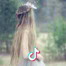 媚媚
