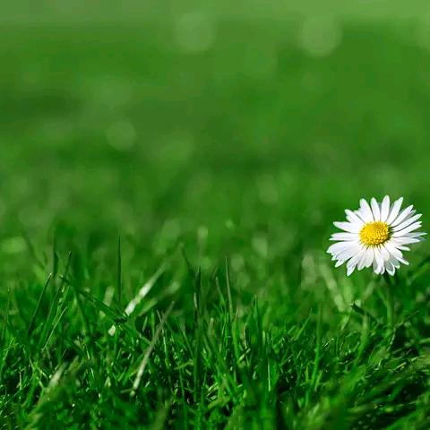 🍀静若幽兰💞橱窗有好物💞