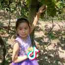 老关汽车电路电瓶空调修理