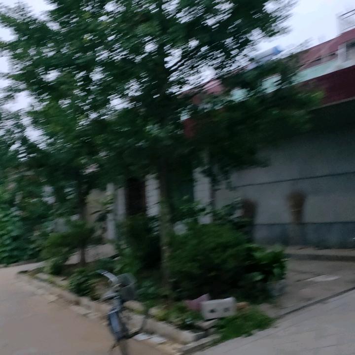 淼淼