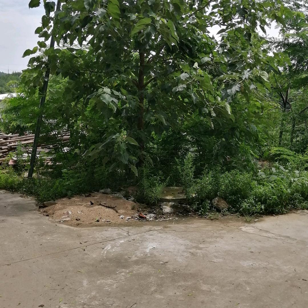 农民工