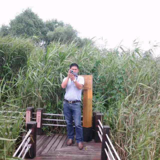 风清一林