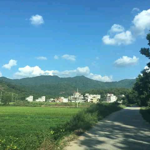 乐在其中