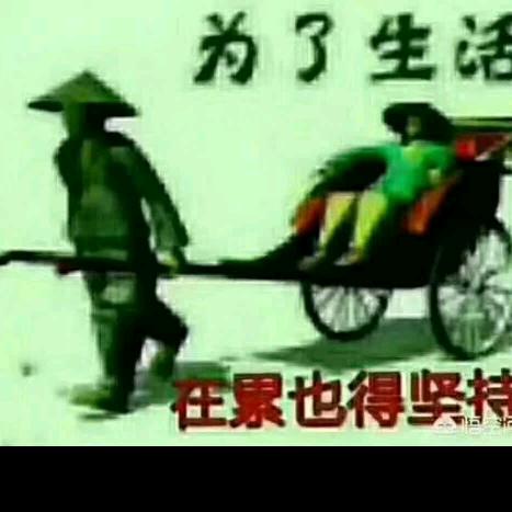情己欠费爱己停机