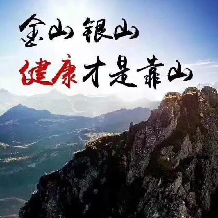 文静