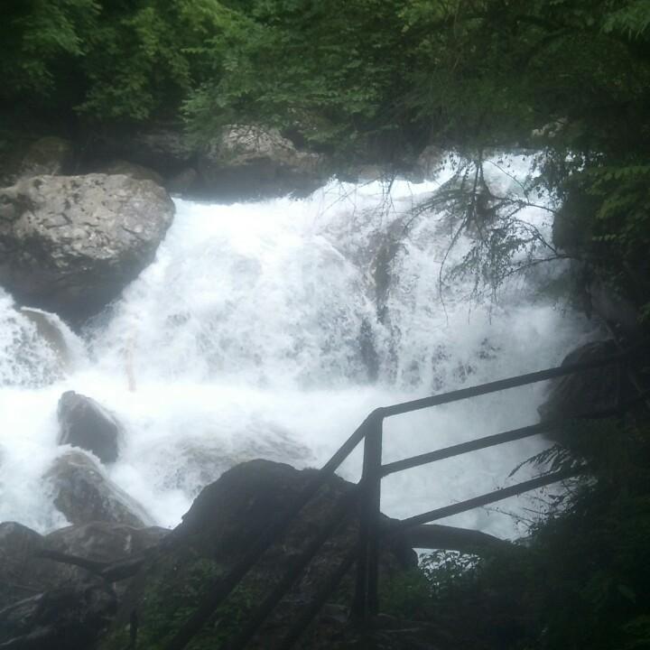 秋哥、
