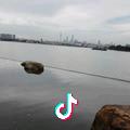 才华横易