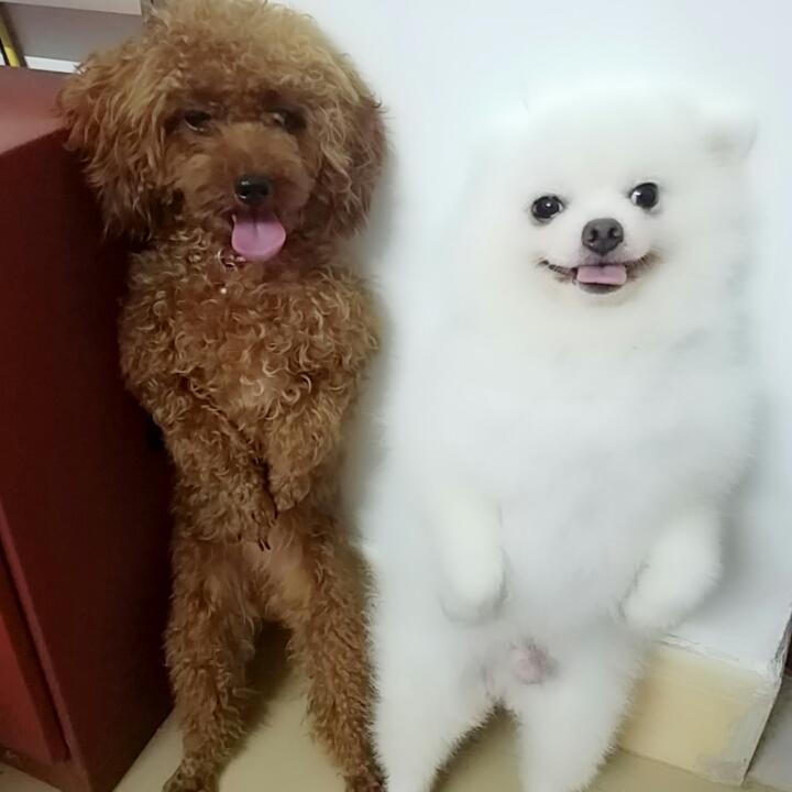 零度