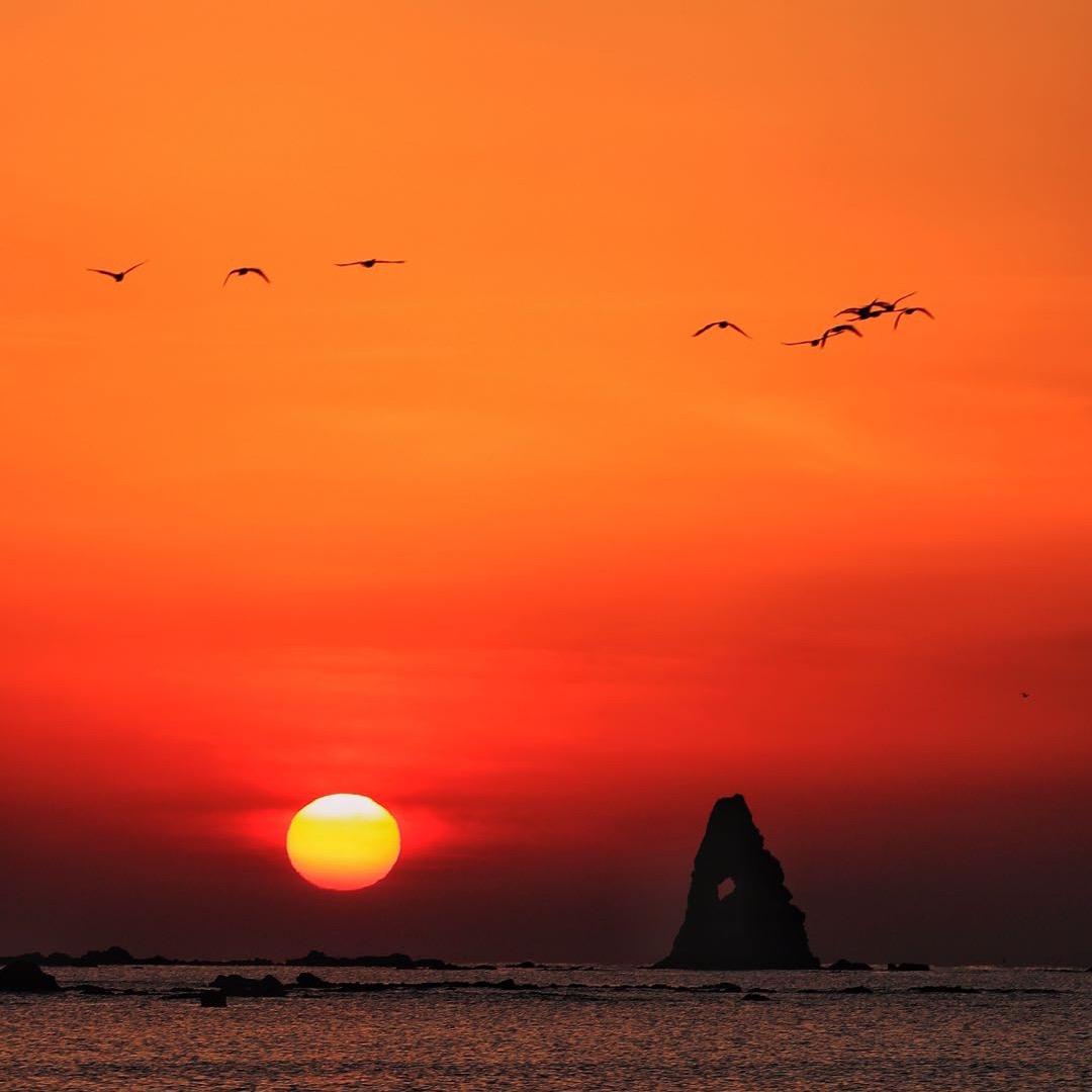 王高波