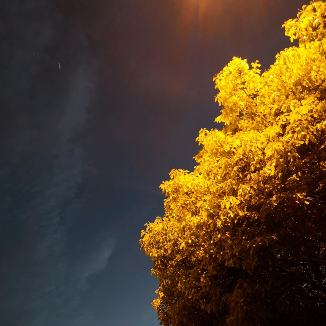 皮裤套毛裤必定有缘故