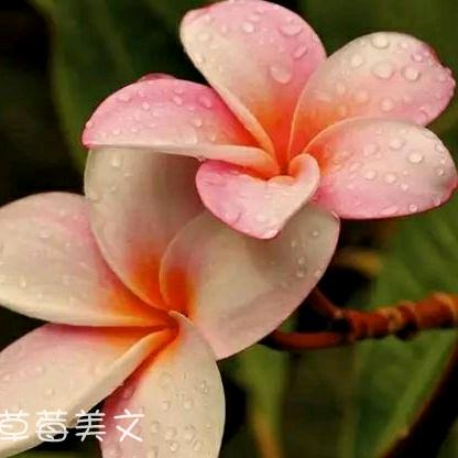 开心每一天😃
