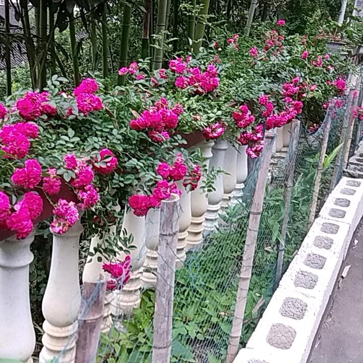 农村手艺人