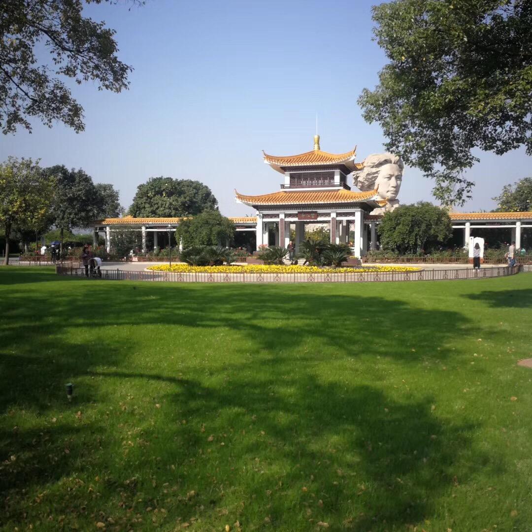 黑玫瑰