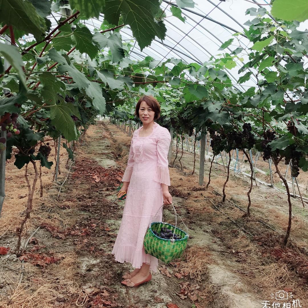 弃医从农的刘姥姥